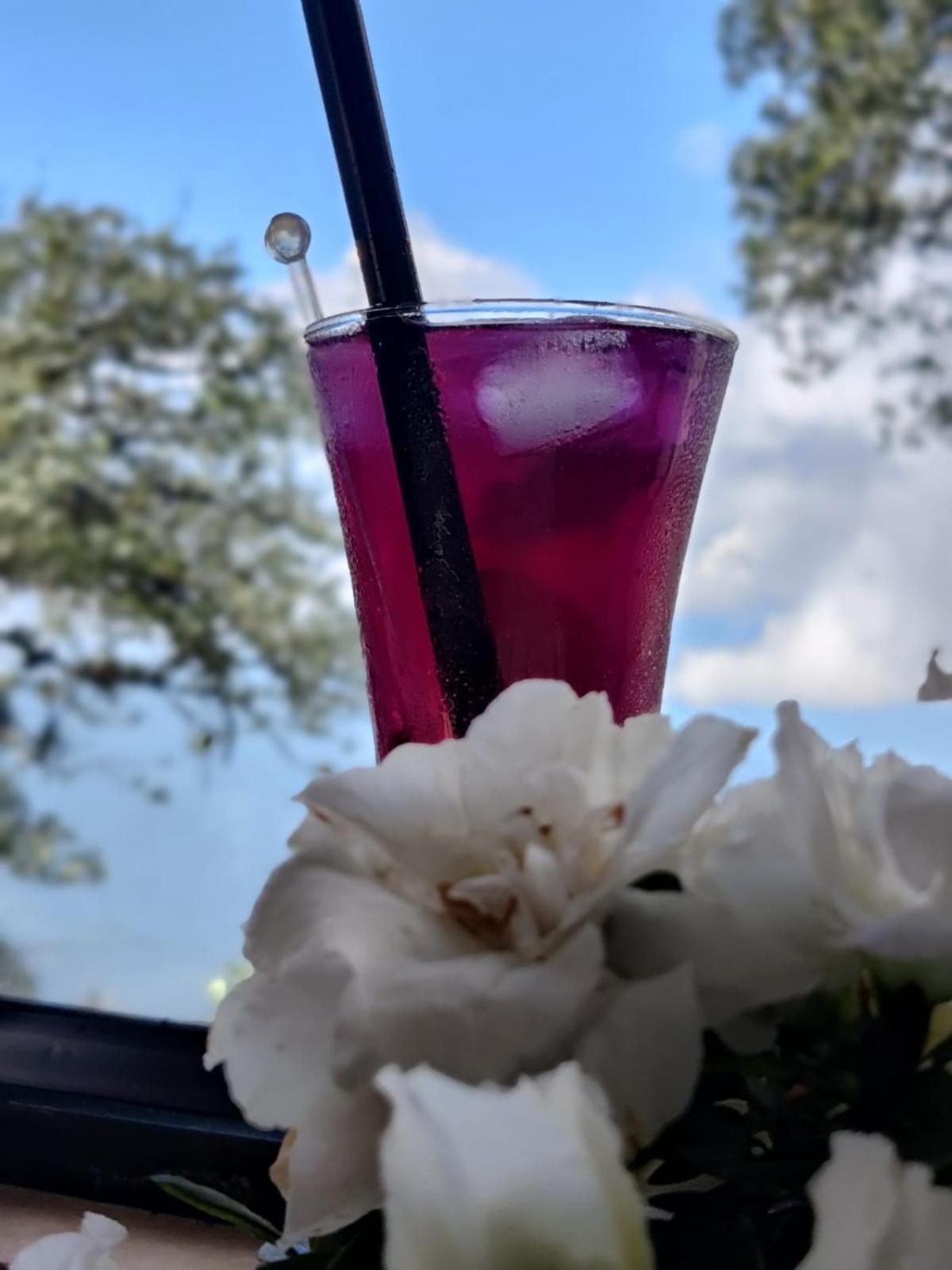 דרג'ילינג Arcadia Heritage Resort מראה חיצוני תמונה