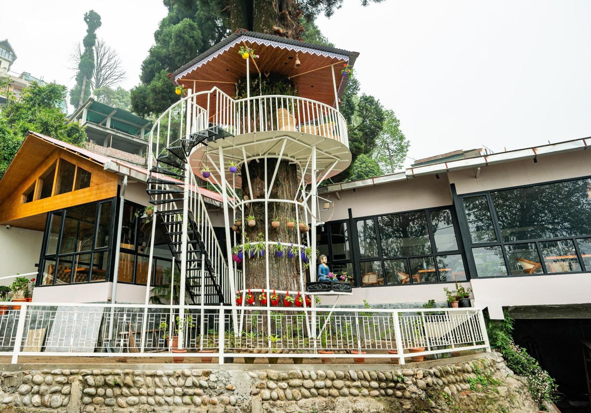 דרג'ילינג Arcadia Heritage Resort מראה חיצוני תמונה